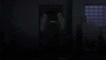 a person is standing in a dark room with a refrigerator in the background .