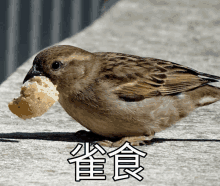 a bird with a piece of bread in its beak with chinese characters above it