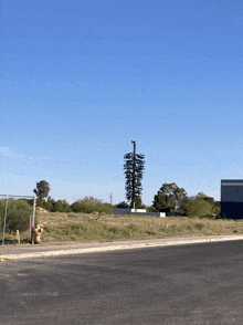 a fire hydrant sits on the side of the road in front of a fence