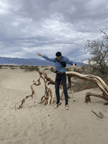 a man in a blue shirt is standing on a tree branch in the sand