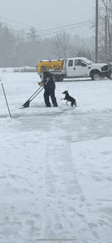 a man and a dog are shoveling snow in front of a truck