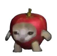 a cat is dressed as an apple and walking