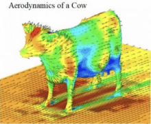 a drawing of a cow with the words " aerodynamics of a cow " below it