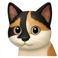 a close up of a cat 's face with a white background