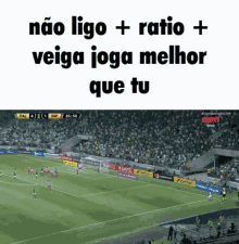 a picture of a soccer field with the words " não ligo + ratio + veiga joga melhor que tu "