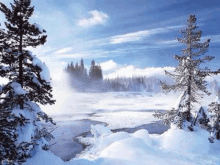 a snowy forest with trees covered in snow and a river in the background