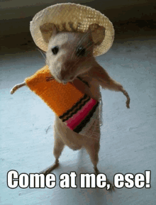 a mouse wearing a sombrero and a scarf says come at me ese!