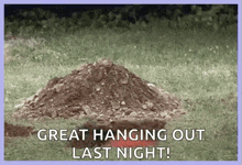 a pile of dirt is sitting in the grass with the words `` great hanging out last night '' .