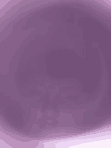 a close up of a purple background with a blurred effect