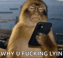 a monkey holding a cell phone with the words why u fucking lyin written below it