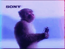 a monkey is holding a camera in front of a sign that says sony