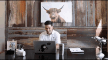 a man is sitting at a desk with a laptop and a picture of a bull on the wall behind him