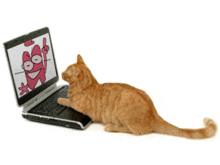 a cat is looking at a laptop screen with a cartoon character on it