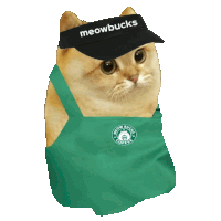 a cat is wearing a green apron and a black hat that says meowbucks