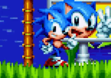 sonic the hedgehog is standing next to a billboard in a pixel art video game .