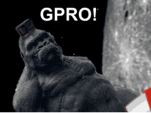 a gorilla with a gopro camera on its head says gpro