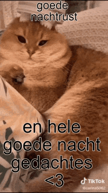 a cat laying on a bed with a caption that says goede nachtrust en hele goede nacht gedachtes < 3