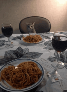 a cat sits at a table with a plate of spaghetti and two glasses of wine
