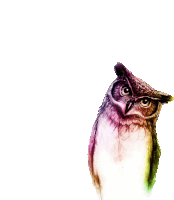 a painting of a colorful owl looking at the camera