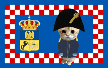 a cat is wearing a napoleon hat and standing in front of a checkered flag