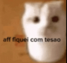 a blurred image of a white cat with the words aff fiquei com te sao on it