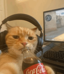 a cat wearing headphones is drinking from a bottle of coca cola