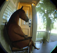 a horse is sitting in a rocking chair on the porch of a house