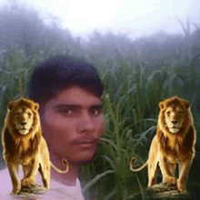 a man is standing in a field with two lions behind him .