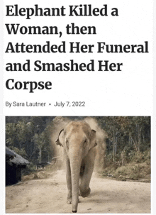 a news article about an elephant killing a woman