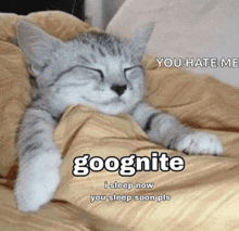 a cat laying on a bed with a caption that says goognite i sleep now you sleep soon pls