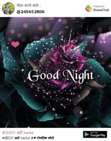 a picture of a flower with the words " good night " on it