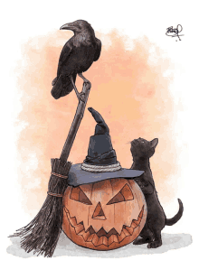 a black cat standing next to a pumpkin and a broom