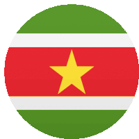 a red white and green flag with a yellow star in the center