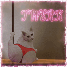 a picture of a cat dancing with the word twerk in the background