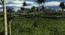 a house is surrounded by palm trees in a field