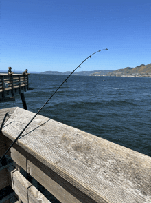 a fishing rod is sitting on a wooden railing overlooking the water