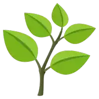 a tree branch with green leaves and a white background