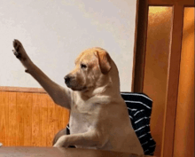 a dog is sitting at a table with its paw in the air