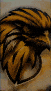 a close up of a bird 's head with feathers that are yellow and black