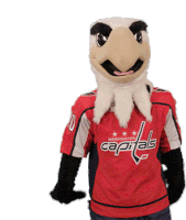 a mascot is wearing a red jersey that says capitals