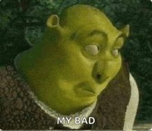 shrek from shrek is making a funny face while looking at the camera and saying `` my bad '' .