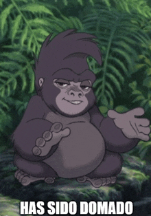 a cartoon gorilla is sitting on a rock with the words has sido domado below it