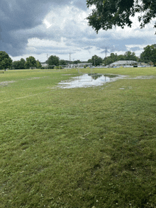 a soccer field with a puddle of water in the middle of it