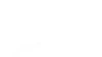 a white background with a drawing of a bird on it