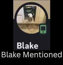 a picture of a dog under a sink with the name blake mentioned