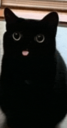 a black cat with a pink tongue sticking out