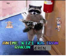 a picture of a raccoon holding a cat with the words anime kizi kaciran rakuen aeren