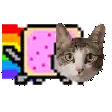 a cat is standing in front of a rainbow colored pixel art .