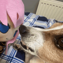 a stuffed animal with pink hair and blue eyes looks at a dog