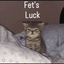 a kitten sitting on a bed with a caption that says fet 's luck